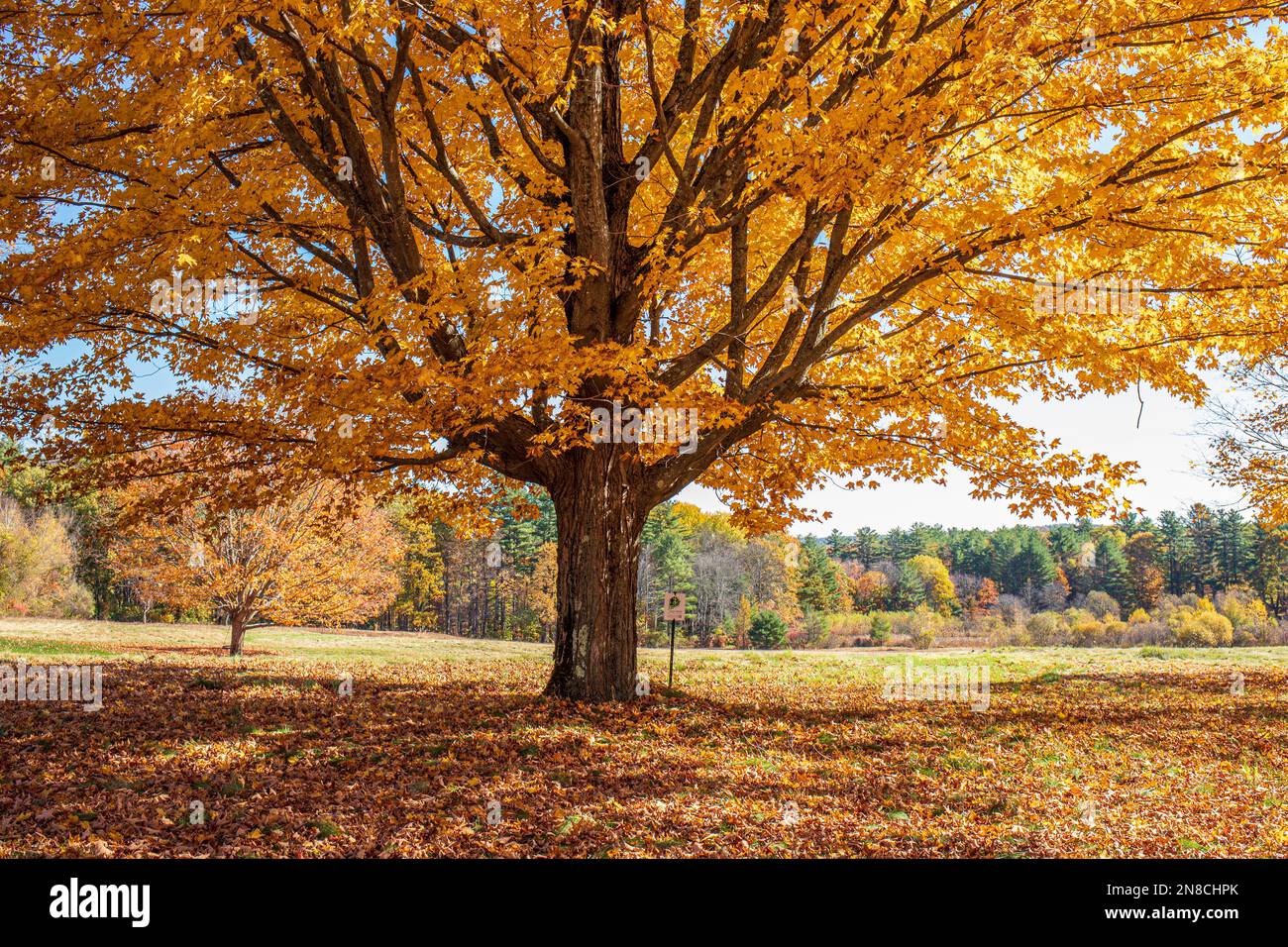 An autumn day in Petersham, Massachusetts Stock Photo