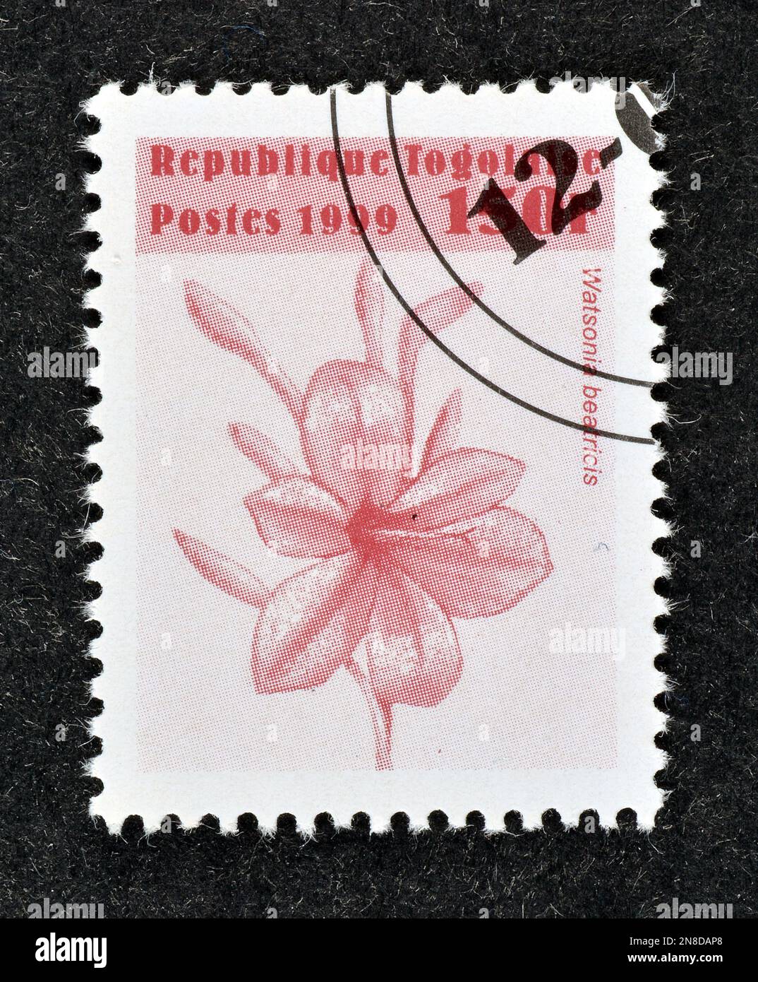 Cancelled postage stamp printed by Togo, that shows Watsonia beatricis flower, circa 1999. Stock Photo