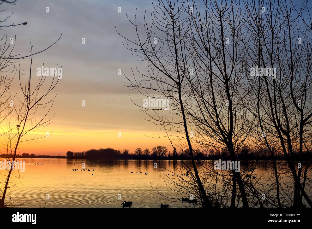 Lake at sunset seen from the shore with silhouette of trees framing it ...