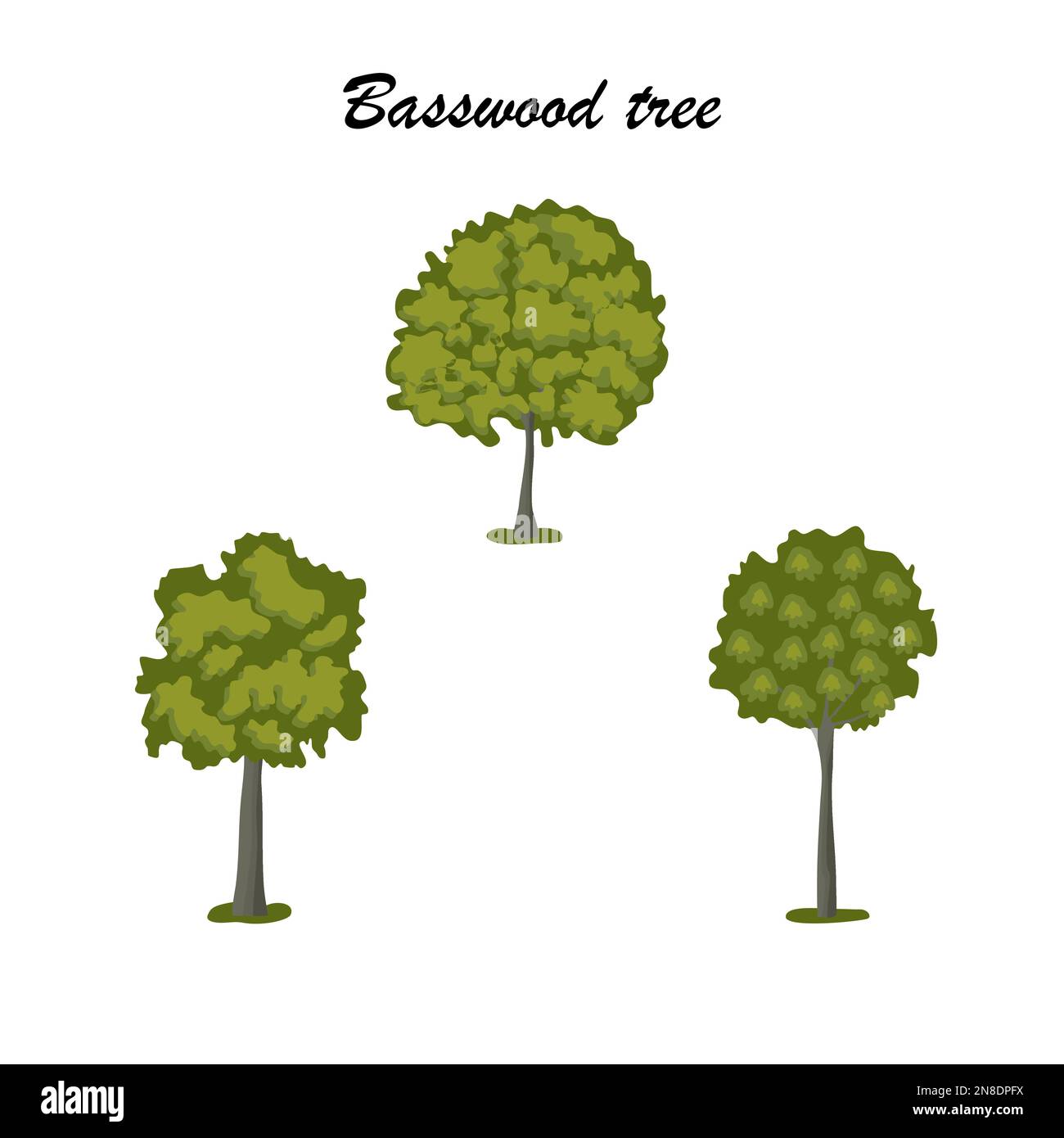 Basswood tree icon set, flat style vector illustration Stock Vector