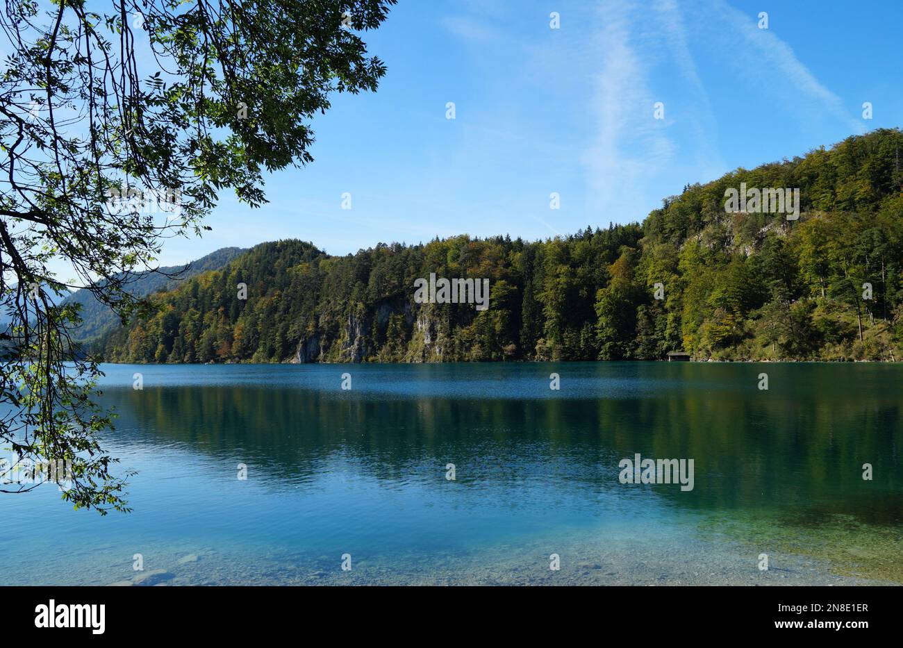 gorgeous calm emerald-green alpine lake Alpsee in the Bavarian Alps on a sunny day with the blue sky in the village Hohenschwangau, Bavaria, Germany Stock Photo