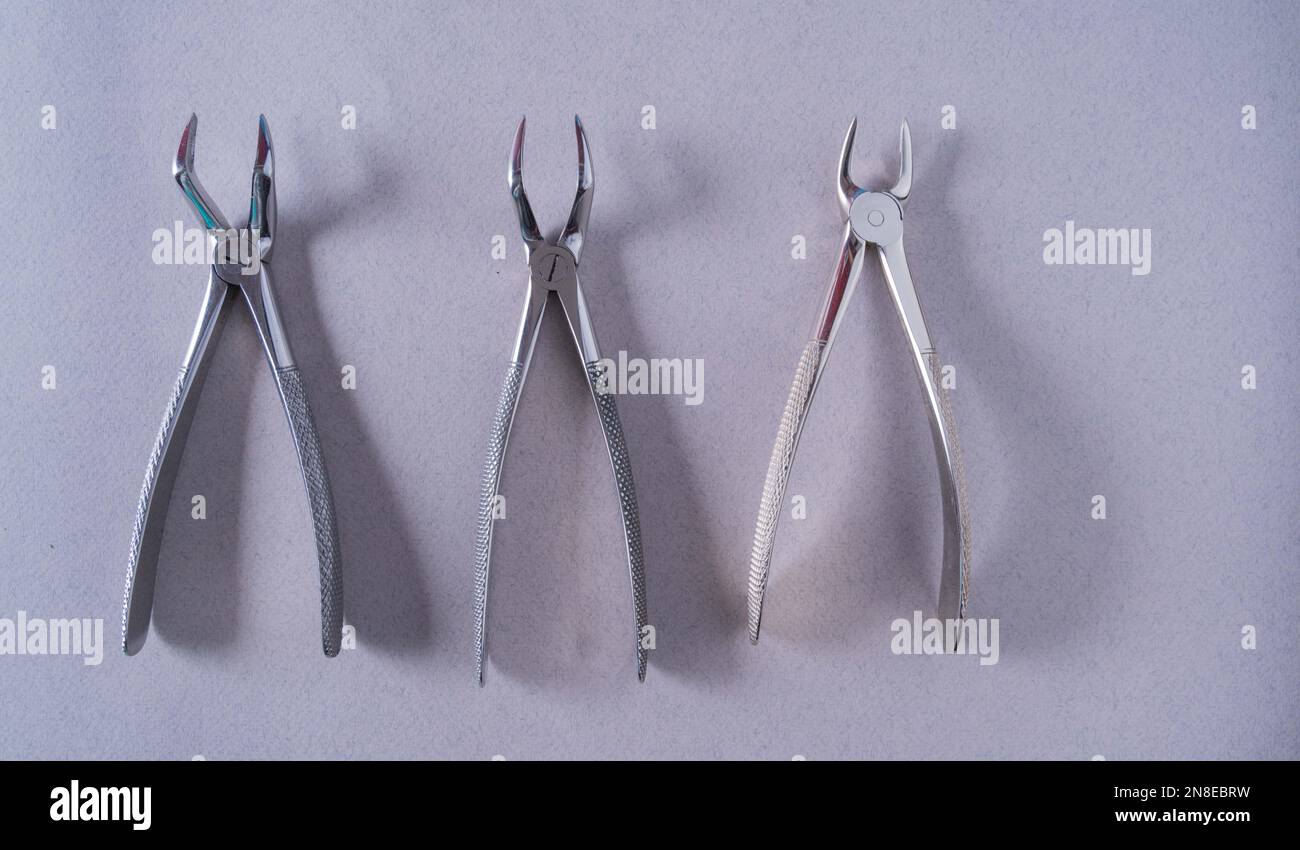 dental tools on gray background top view,flat lay Stock Photo