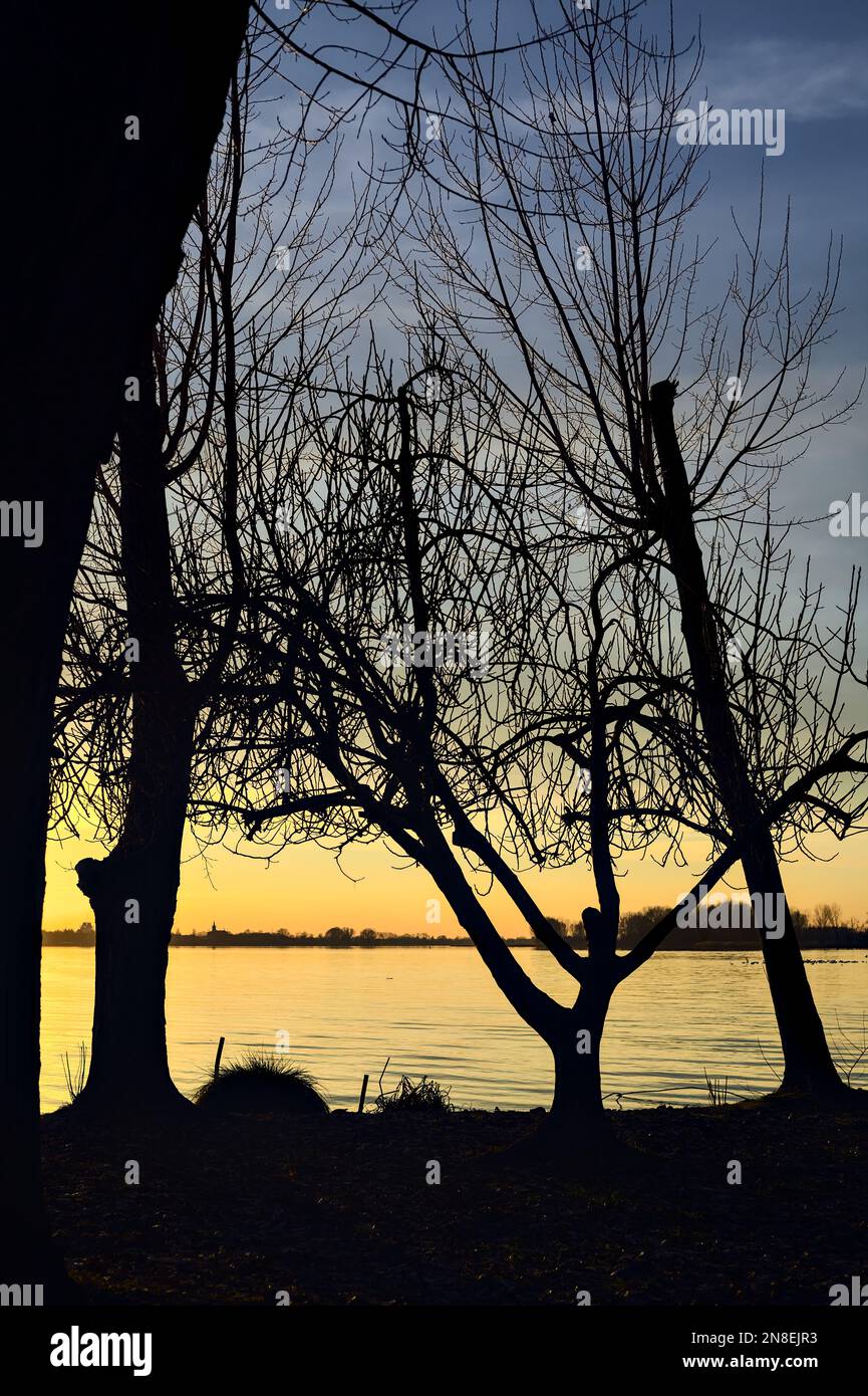 Lake at sunset seen from the shore with silhouette of trees framing it ...