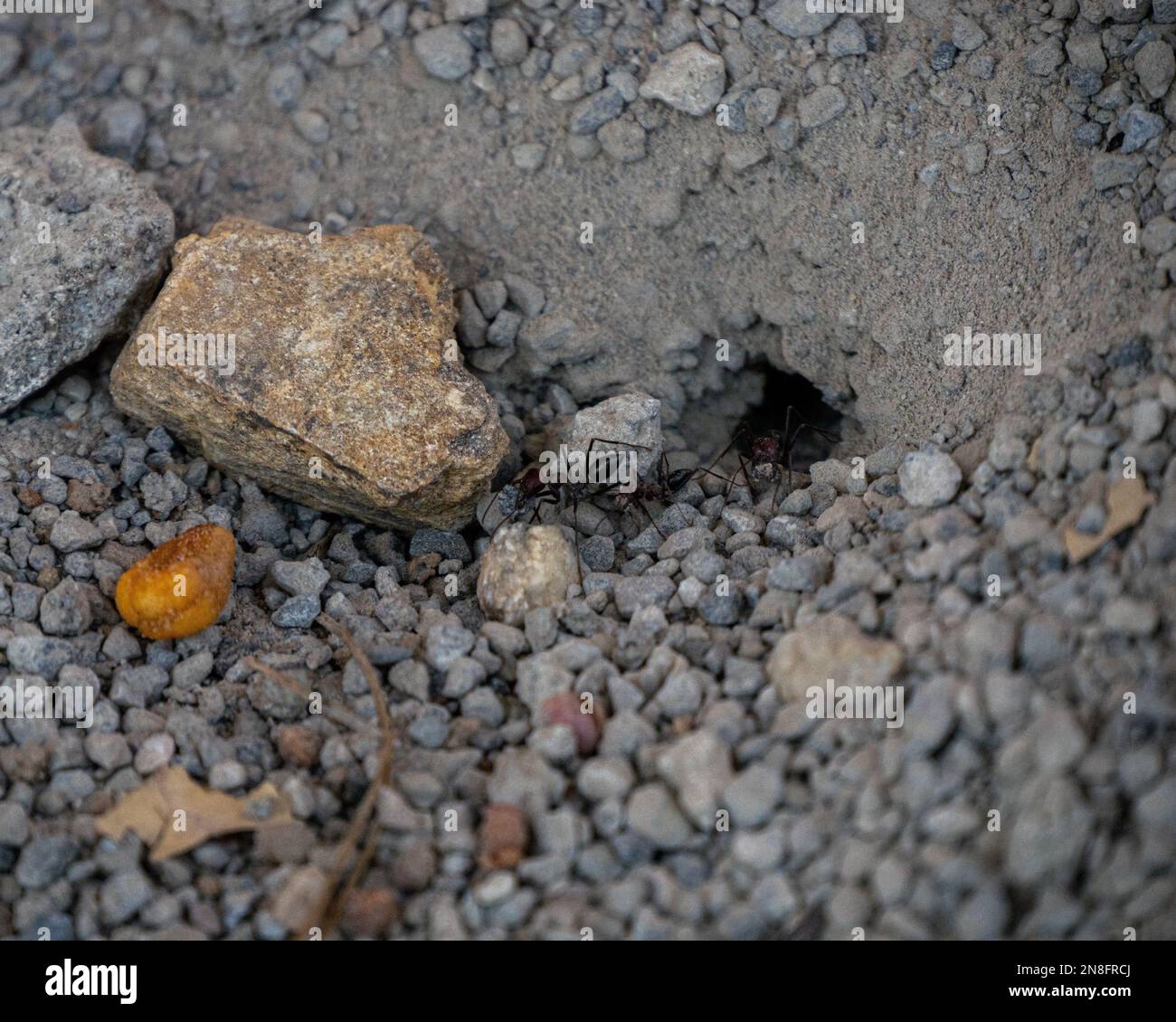 Crawl out of hole hi-res stock photography and images - Alamy