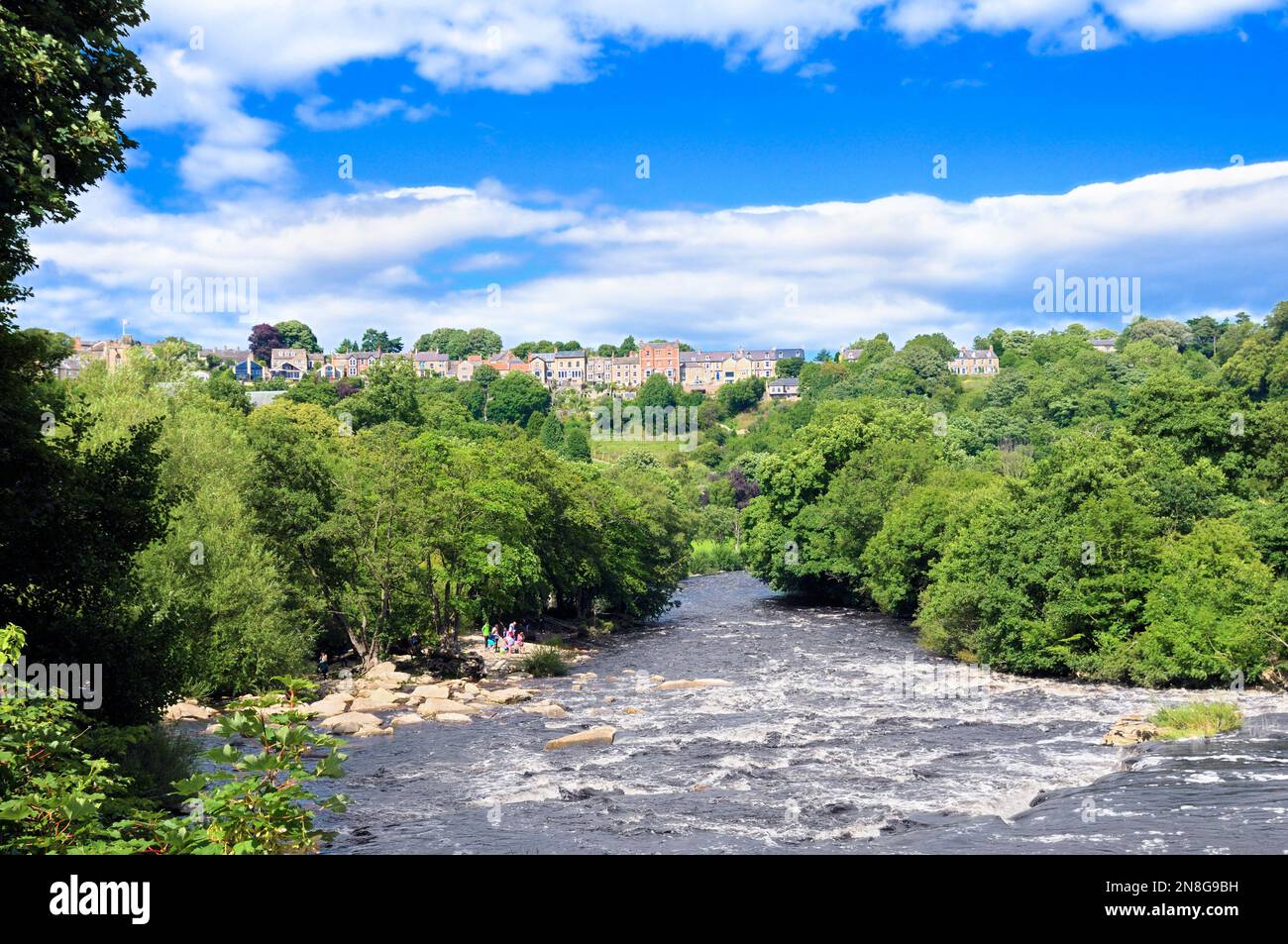 Summer view of the River Swale cascading down Richmond Falls flanked by trees with a line of houses on the hill, Richmond, North Yorkshire, England UK Stock Photo