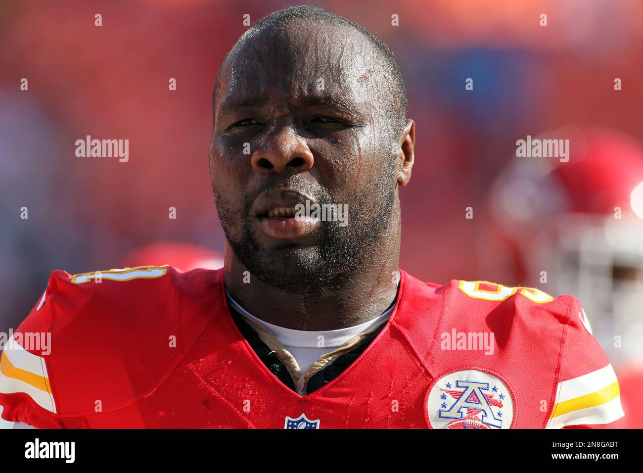 Kansas City Chiefs linebacker Tamba Hali before an NFL football game at ...