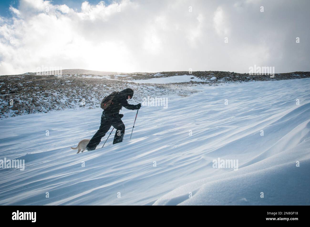 Hiking in mountain with dog hi-res stock photography and images - Alamy