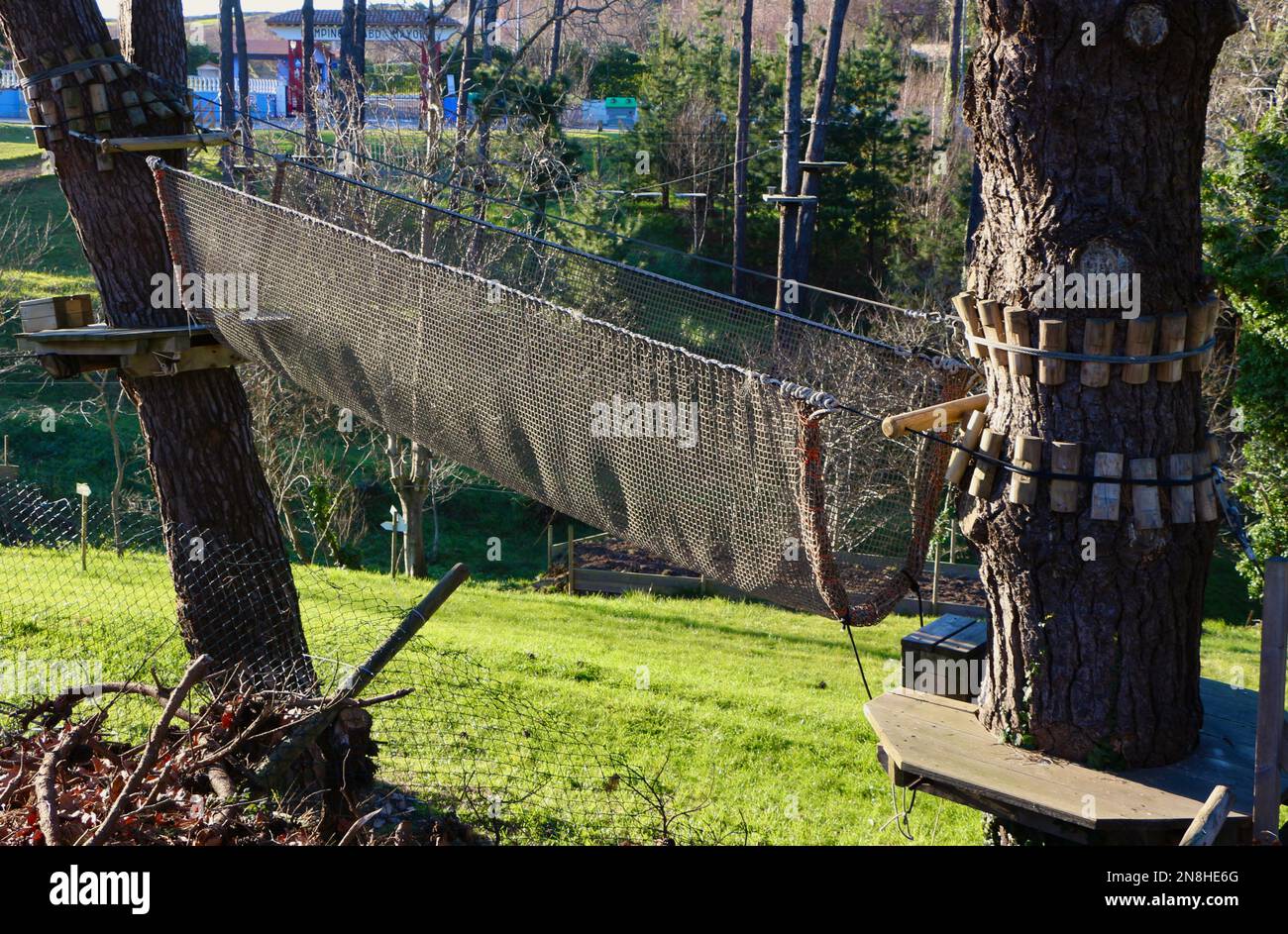 Park with zip wire course through trees Tirolinas Go! Santander Cantabria Spain Stock Photo