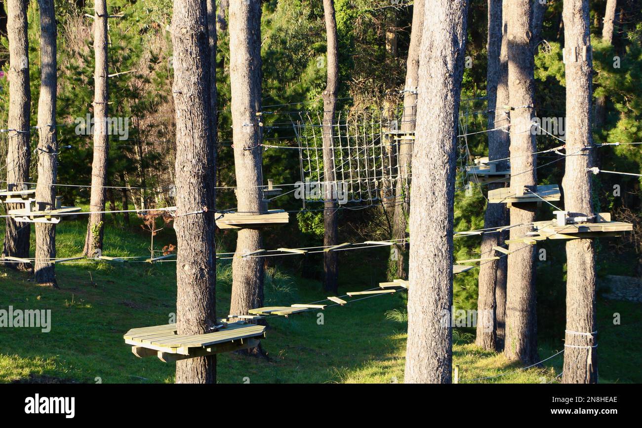 Park with zip wire course through trees Tirolinas Go! Santander Cantabria Spain Stock Photo