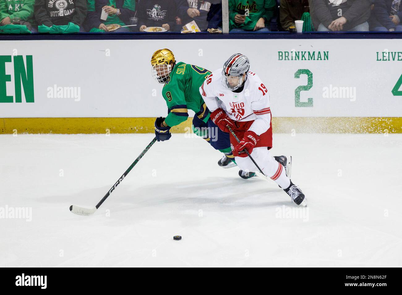 South Bend, Indiana, USA. 11th Feb, 2023. Ohio State forward Stephen Halliday (19) and Notre Dame forward Grant Silianoff (9) skate for the loose puck during NCAA hockey game action between the Ohio State Buckeyes and the Notre Dame Fighting Irish at Compton Family Ice Arena in South Bend, Indiana. John Mersits/CSM/Alamy Live News Stock Photo