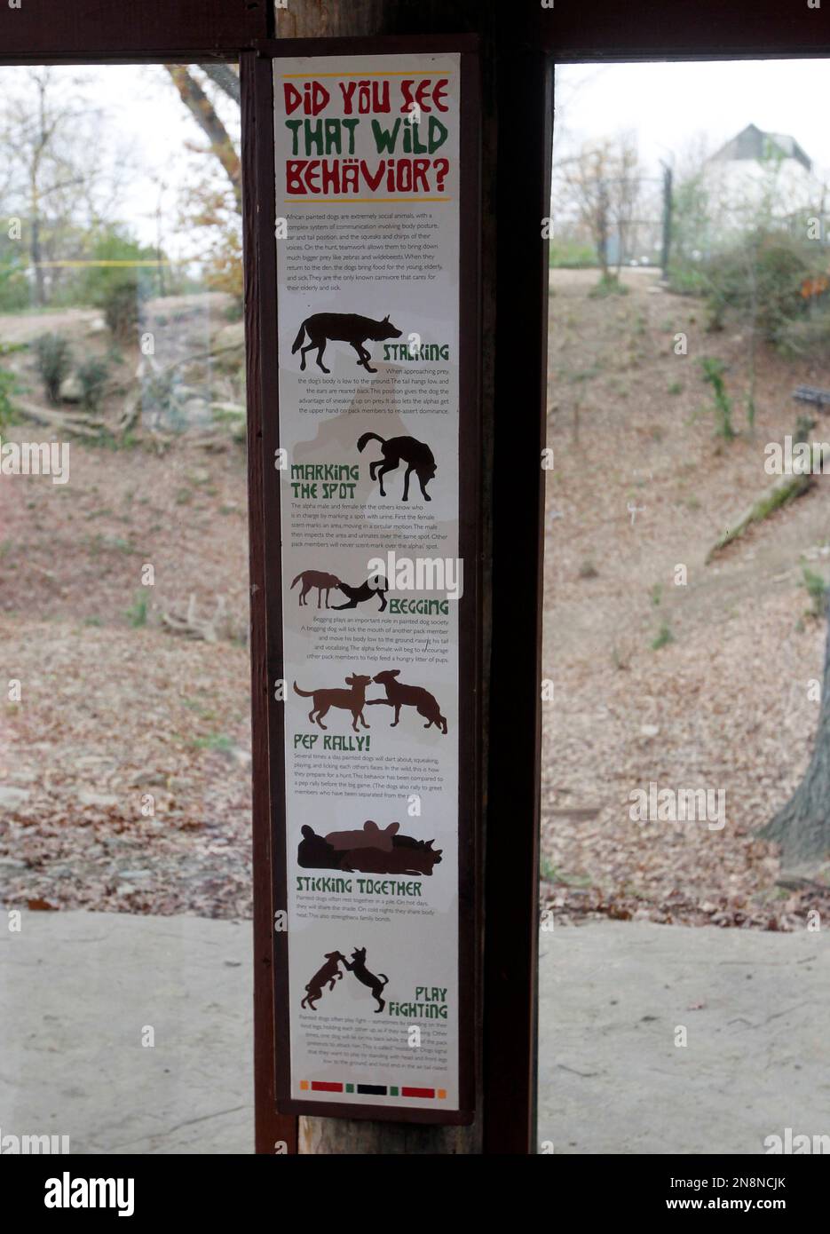 A sign to inform visitors about African Painted Dogs is seen in an ...