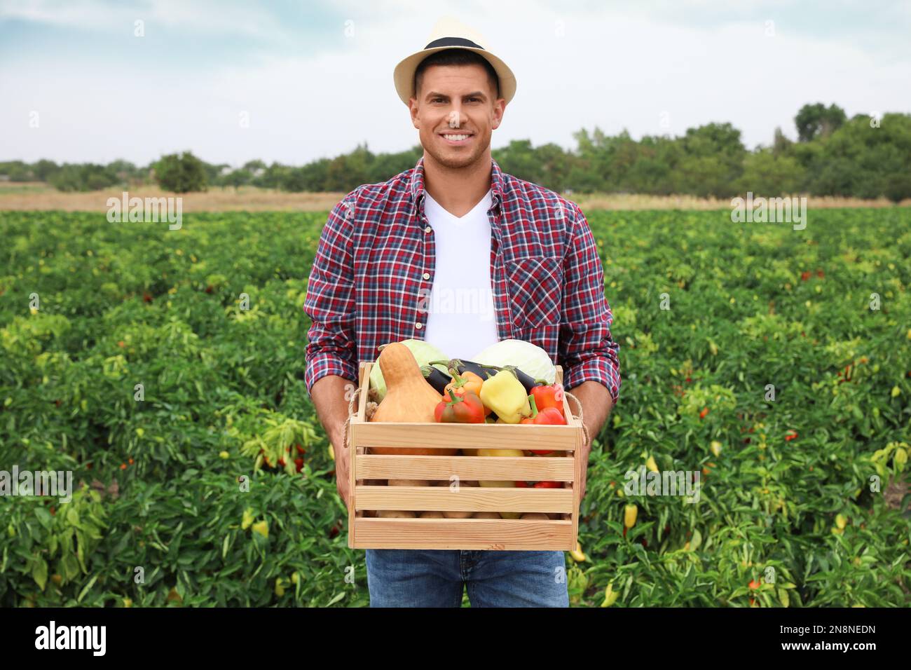 Farmer with wooden crate full of different vegetables in field ...