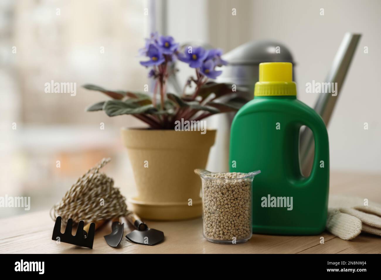 Best Fertilizer for Pot Plants: Top Indoor Plant Foods