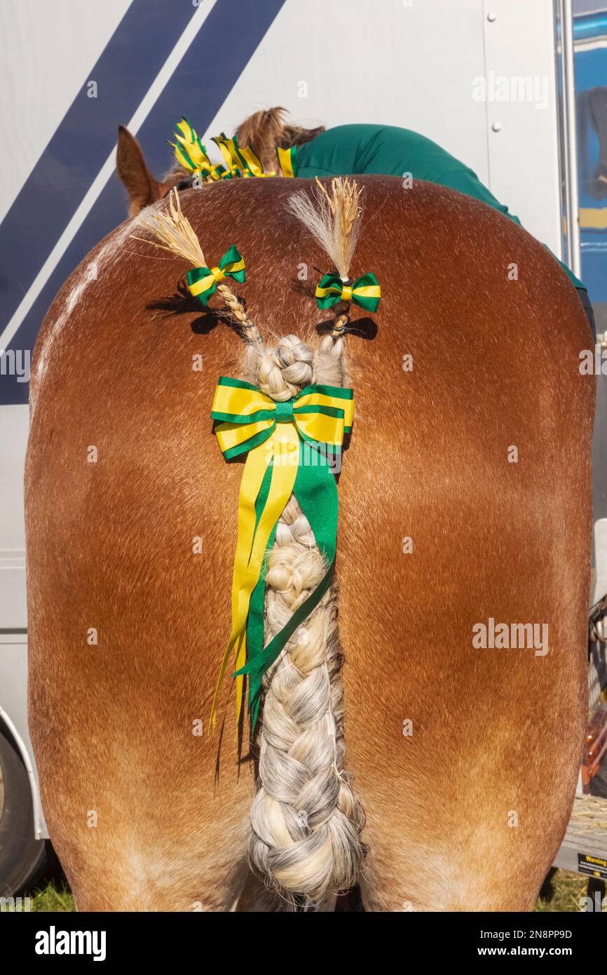 England, Dorset, Shaftesbury, The Annual Wessex Heavy Horse Show and