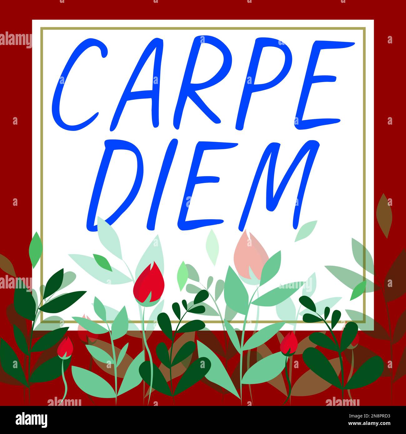 Text showing inspiration Carpe Diem. Business overview public festival