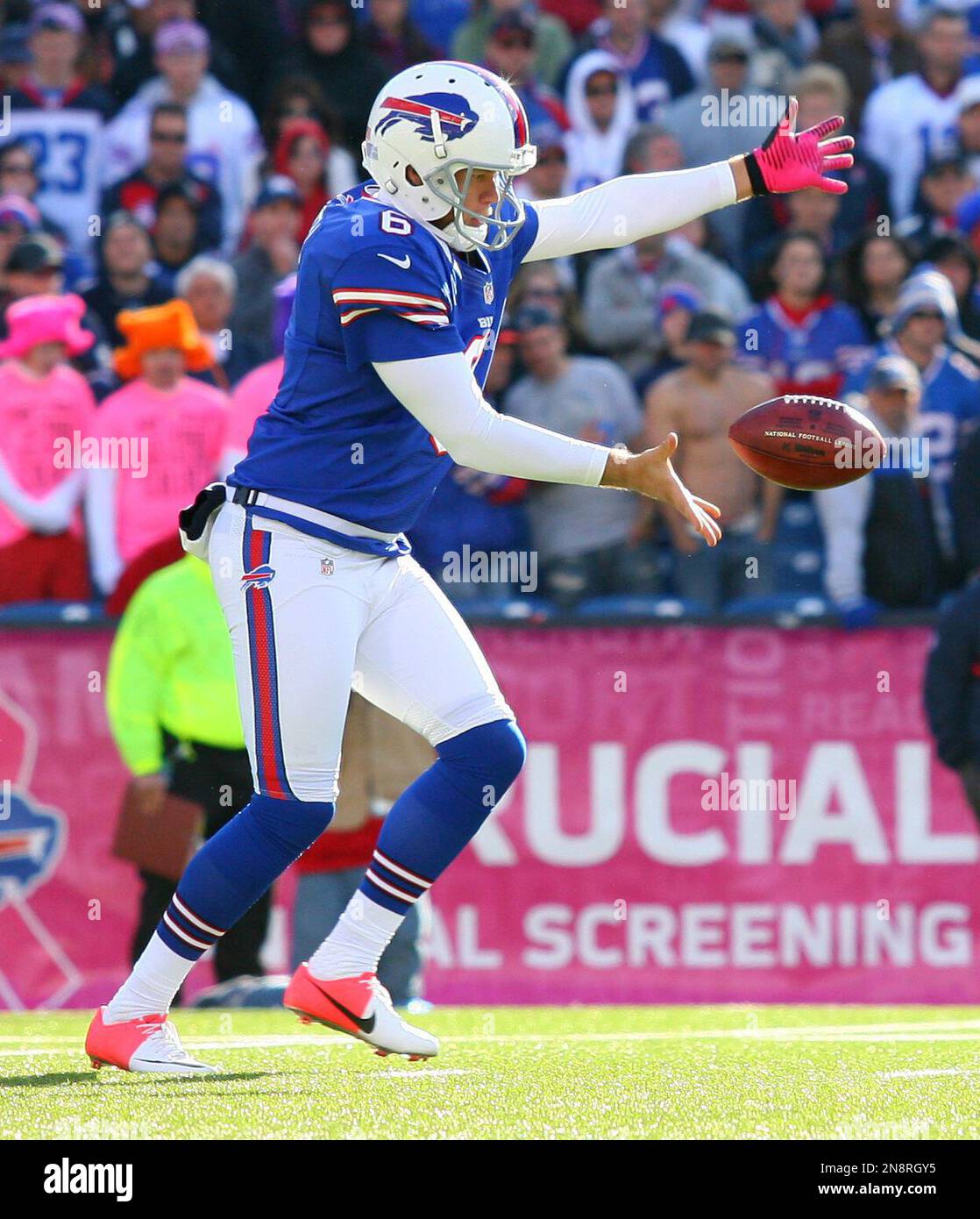 Buffalo Bills' Shawn Powell (6) punts during their 35-34 loss to the  Tennessee Titans in an NFL football game in Orchard Park, N.Y., Sunday,  Oct. 21, 2012. (AP Photo/Bill Wippert Stock Photo - Alamy