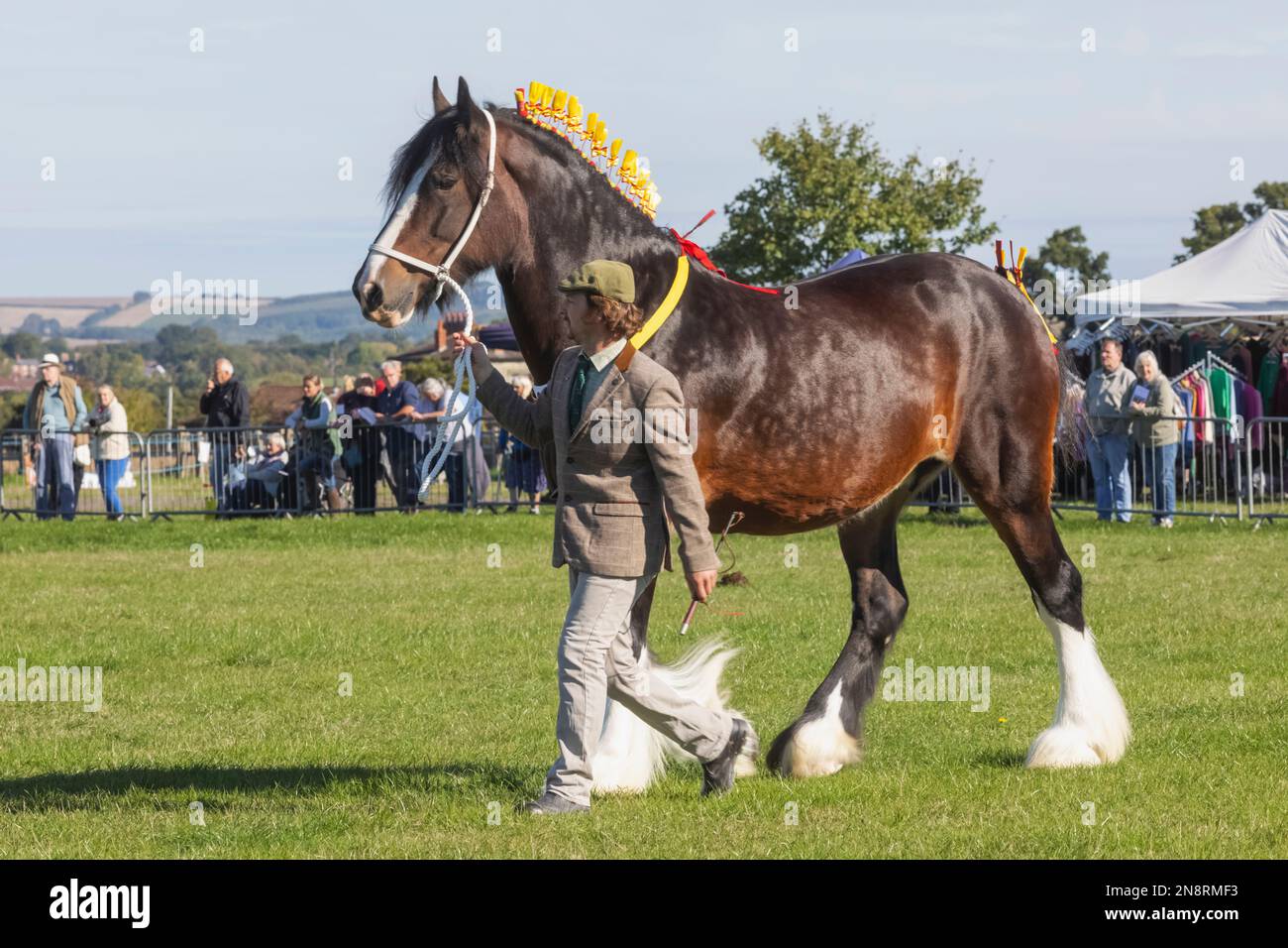 England, Dorset, Shaftesbury, The Annual Wessex Heavy Horse Show and