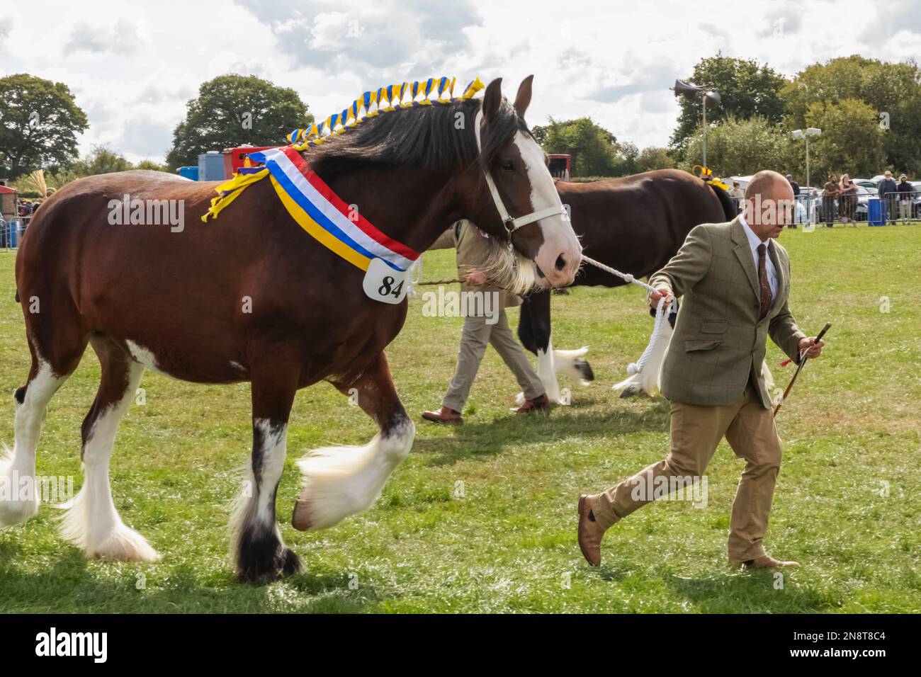 England, Dorset, Shaftesbury, The Annual Wessex Heavy Horse Show and