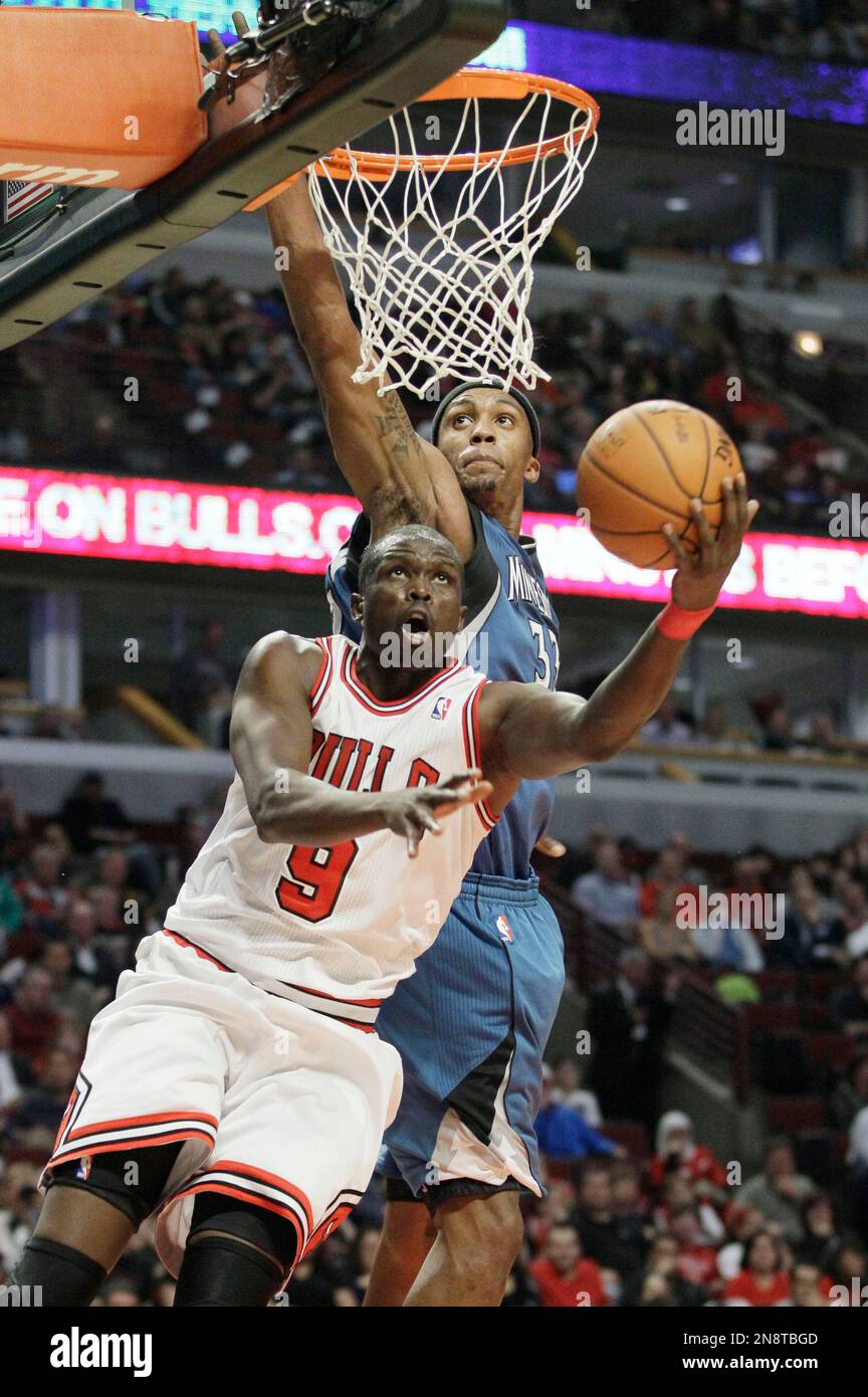 dante-cunningham-timberwolves