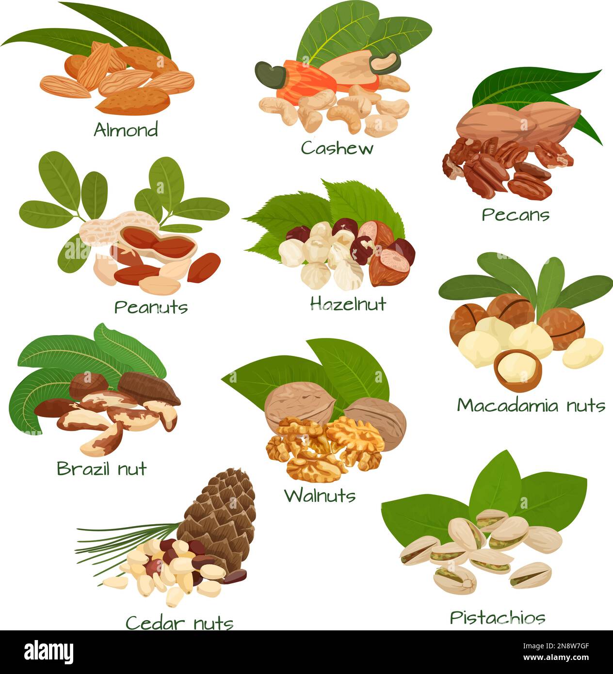 Nuts and seeds flat set with isolated bunches of cashew walnuts