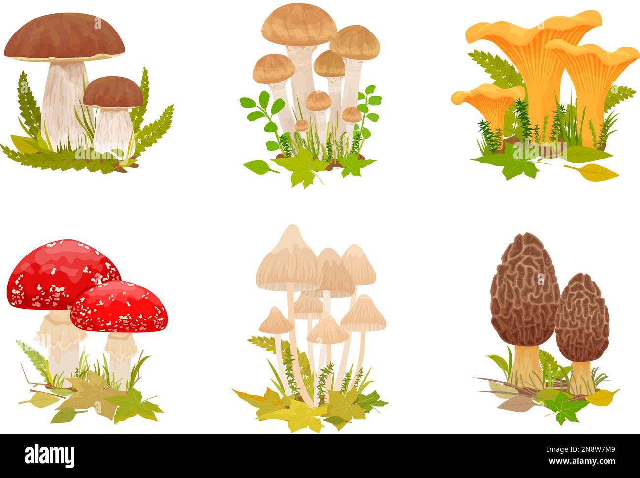 Mushrooms set with flat isolated compositions of edible poisonous shroom clusters growing with forest leaves grass vector illustration Stock Vector