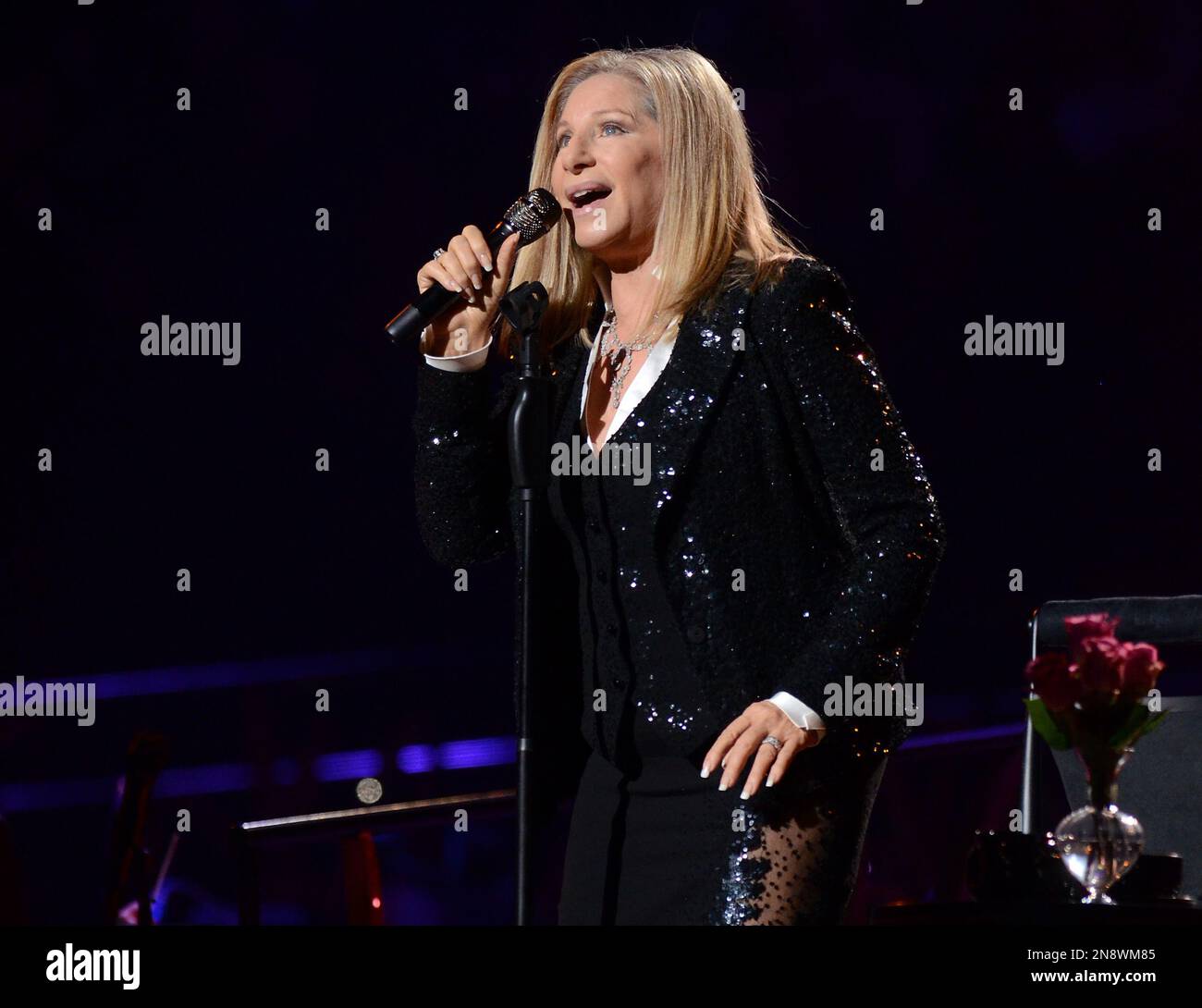 Barbra Streisand Barclays Center 2025 Erin Odessa