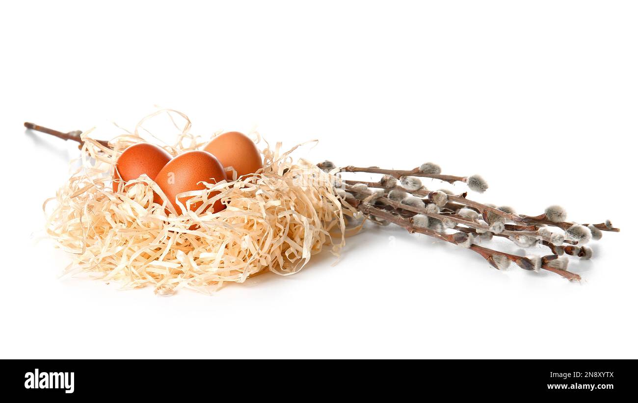 Nest with Easter eggs and willow branches on white background Stock ...