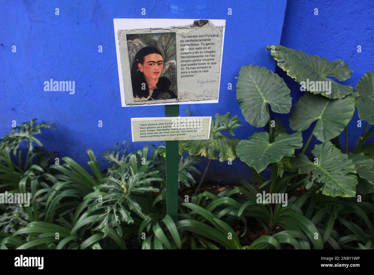 A reproduction of a Frida Kahlo selfportrait with a letter by artist