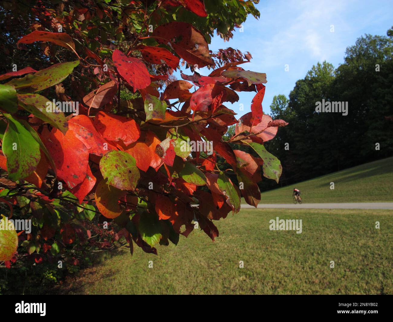 Tennessee Tree Color Change The trees are beginning to change color on Saturday, Sept. 29, 2012, on ...