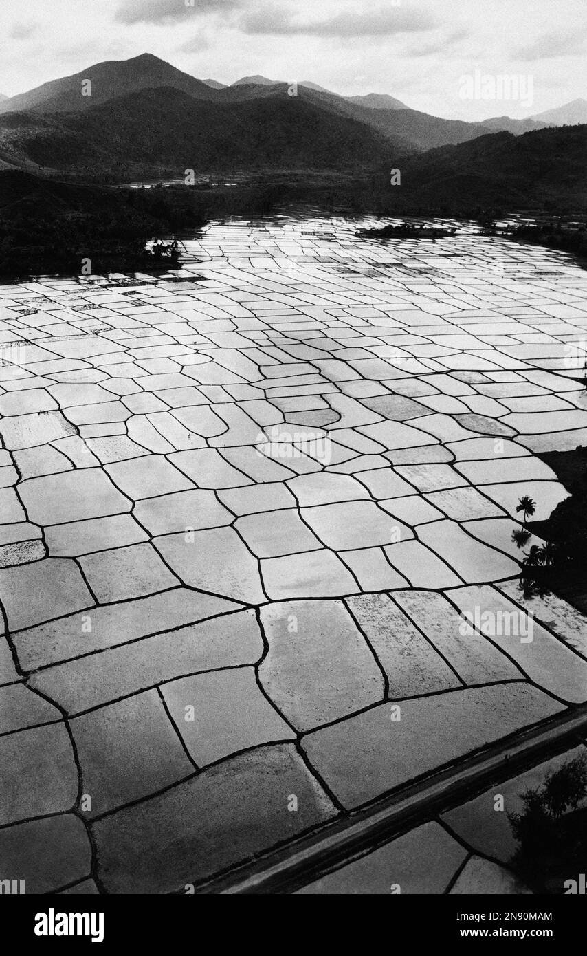 Freshly plowed rice paddies create a checkerboard pattern in one of the ...