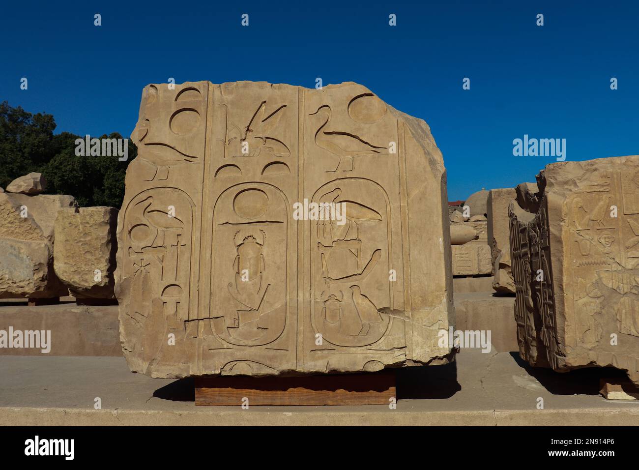 Ancient egyptian hieroglyphs carved on the walls of Karnak temple in ...