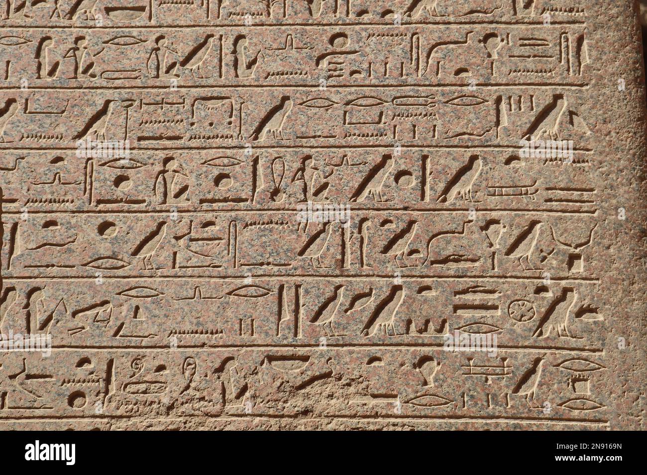 Ancient egyptian hieroglyphs carved on the walls of Karnak temple in ...
