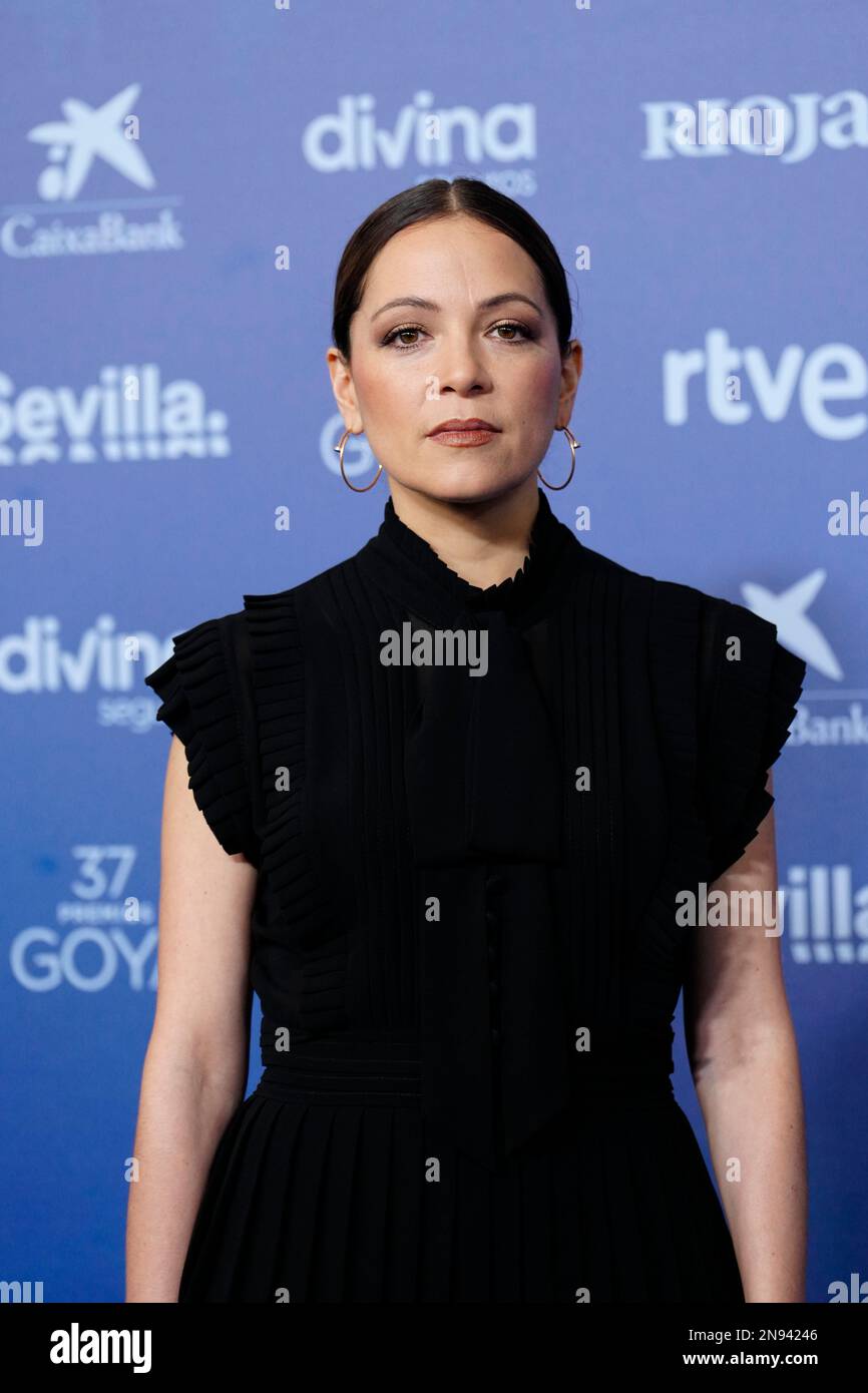 February 11, 2023, Sevilla, Andalucia, Spain: Natalia Lafourcade attends 37th Goya Awards - Red Carpet at Fibes - Conference and Exhibition on February 11, 2023 in Sevilla, Spain (Credit Image: © Jack Abuin/ZUMA Press Wire) EDITORIAL USAGE ONLY! Not for Commercial USAGE! Stock Photo