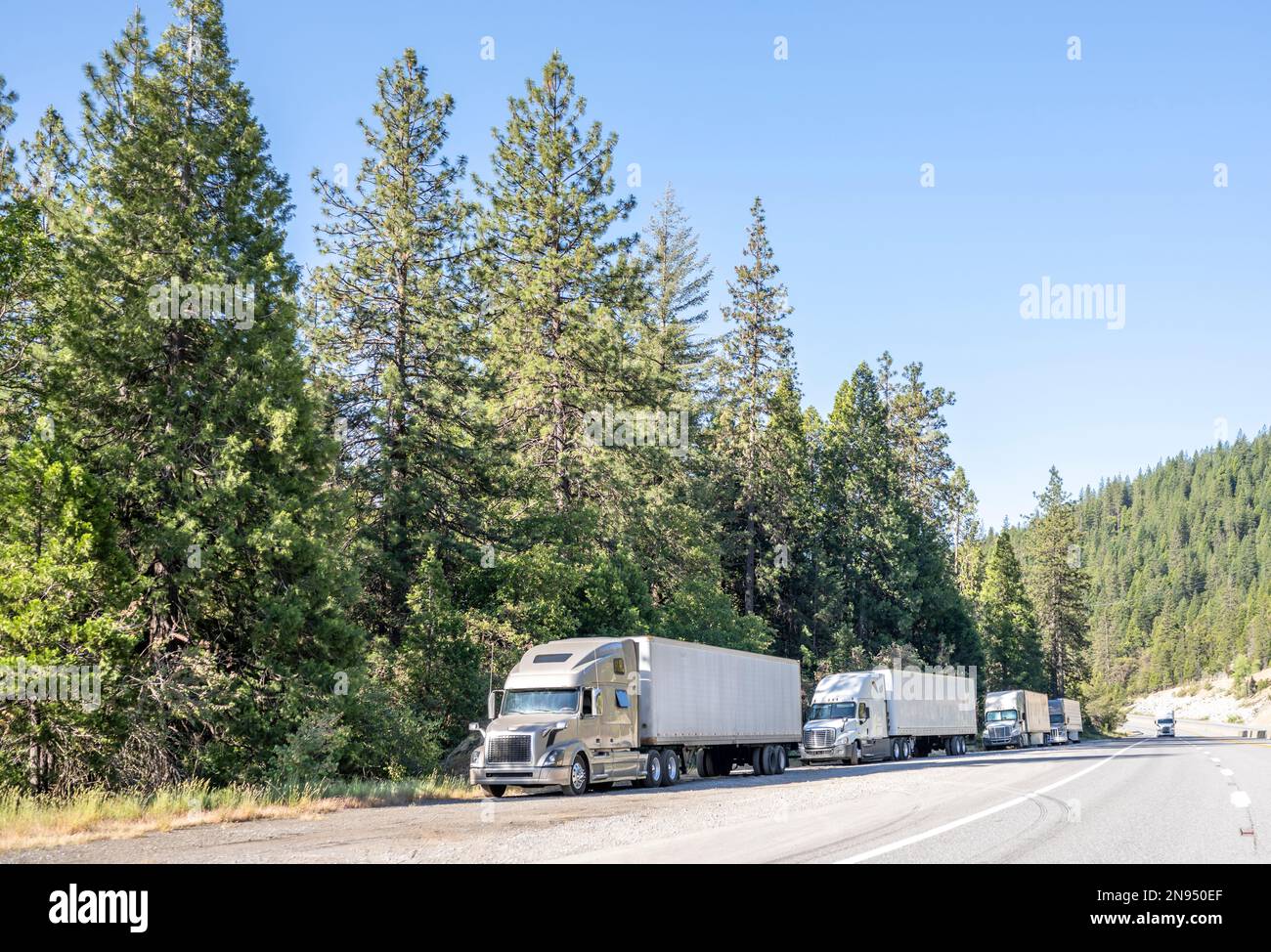 General logistic transportation different long haulers big rigs semi trucks with semi trailers standing in line on the road shoulder for truck driver Stock Photo