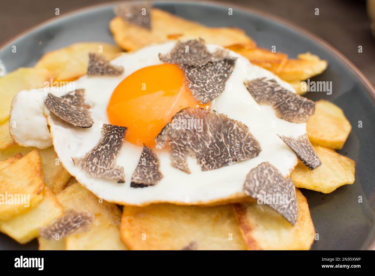 Truffled fried egg with french fries and tuber melanosporum winter