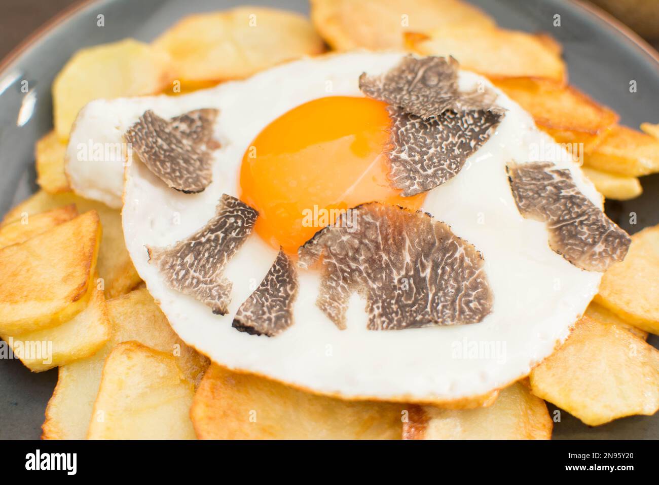 Truffled fried egg with french fries and tuber melanosporum winter