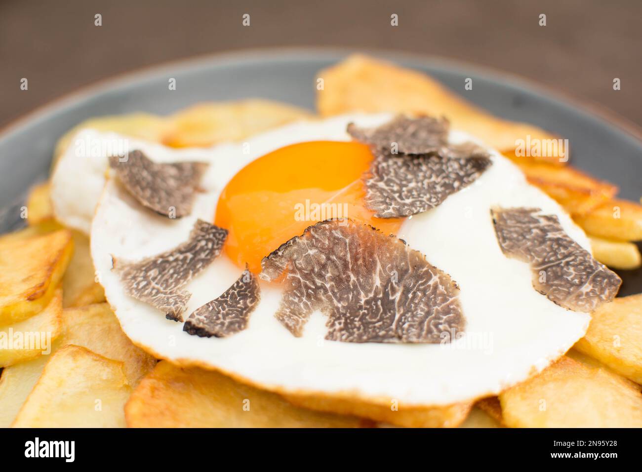 Truffled fried egg with french fries and tuber melanosporum winter