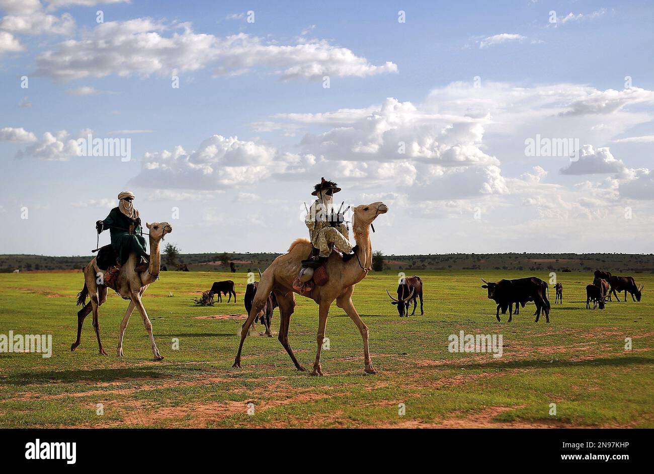 In this picture taken Tuesday, July 17, 2012, livestock merchants leave ...