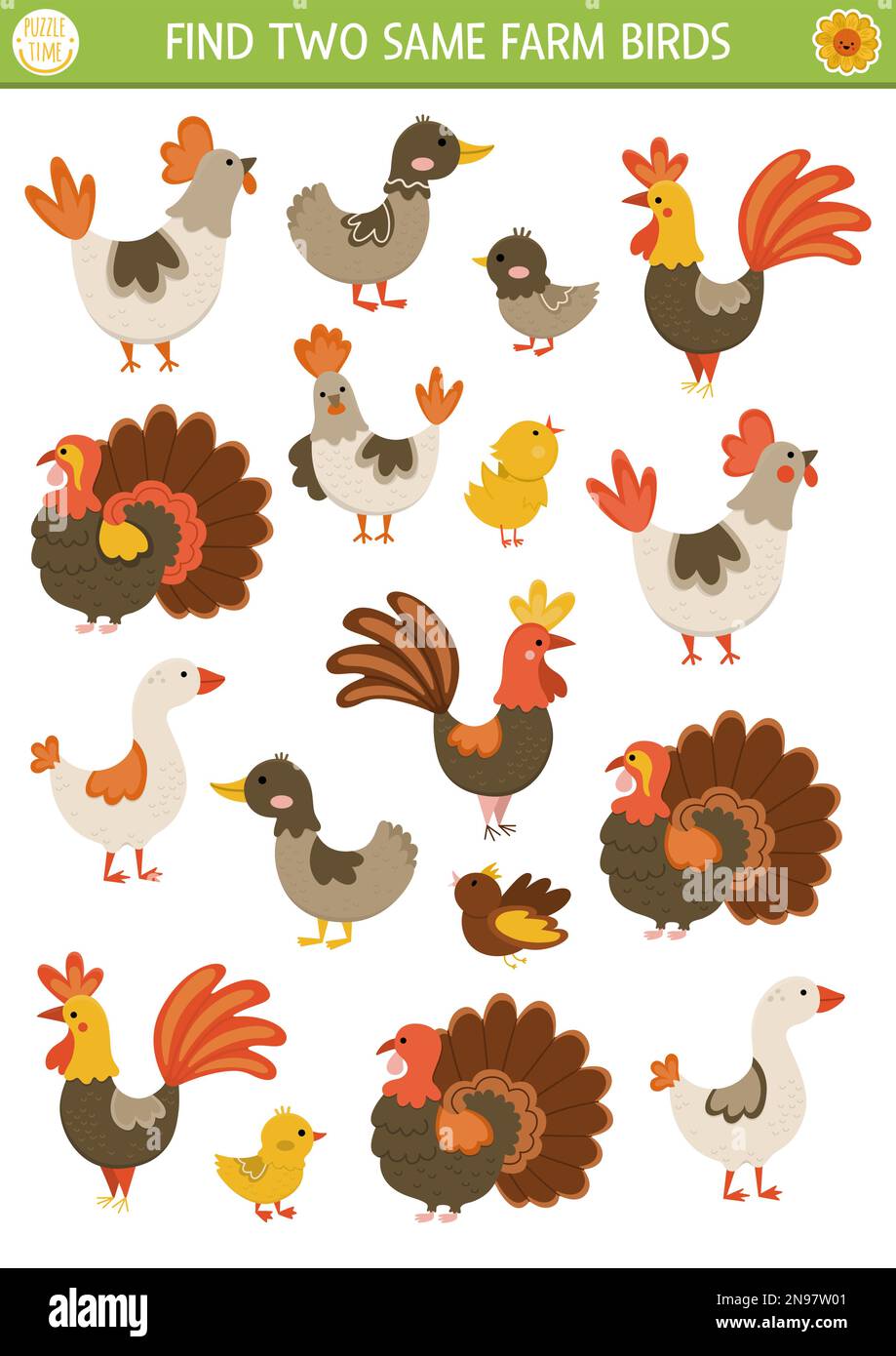 Find two same farm birds. On the farm matching activity for children ...