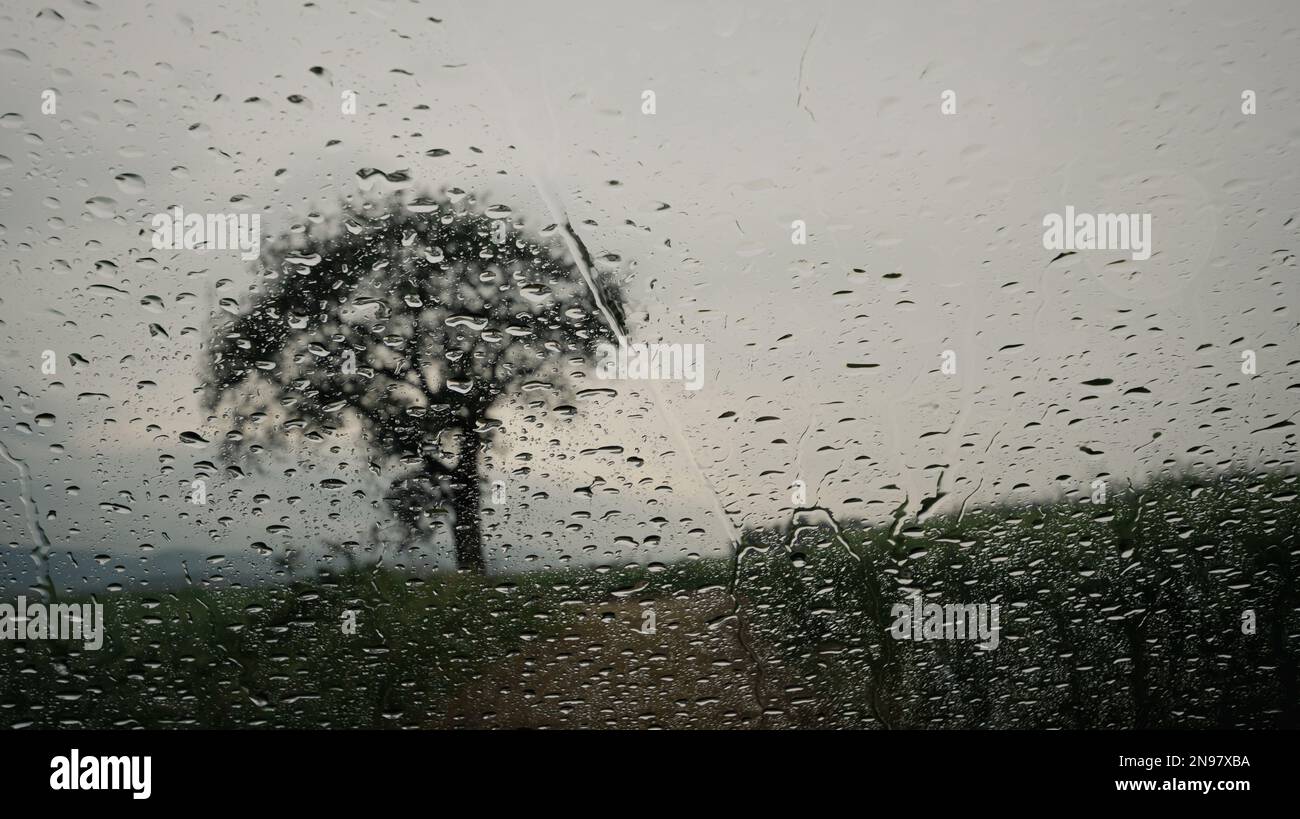 Wet window. A blurred view of a tree and road in summer viewed through the car’s window with raindrops on it. Travel or sadness concept. Stock Photo