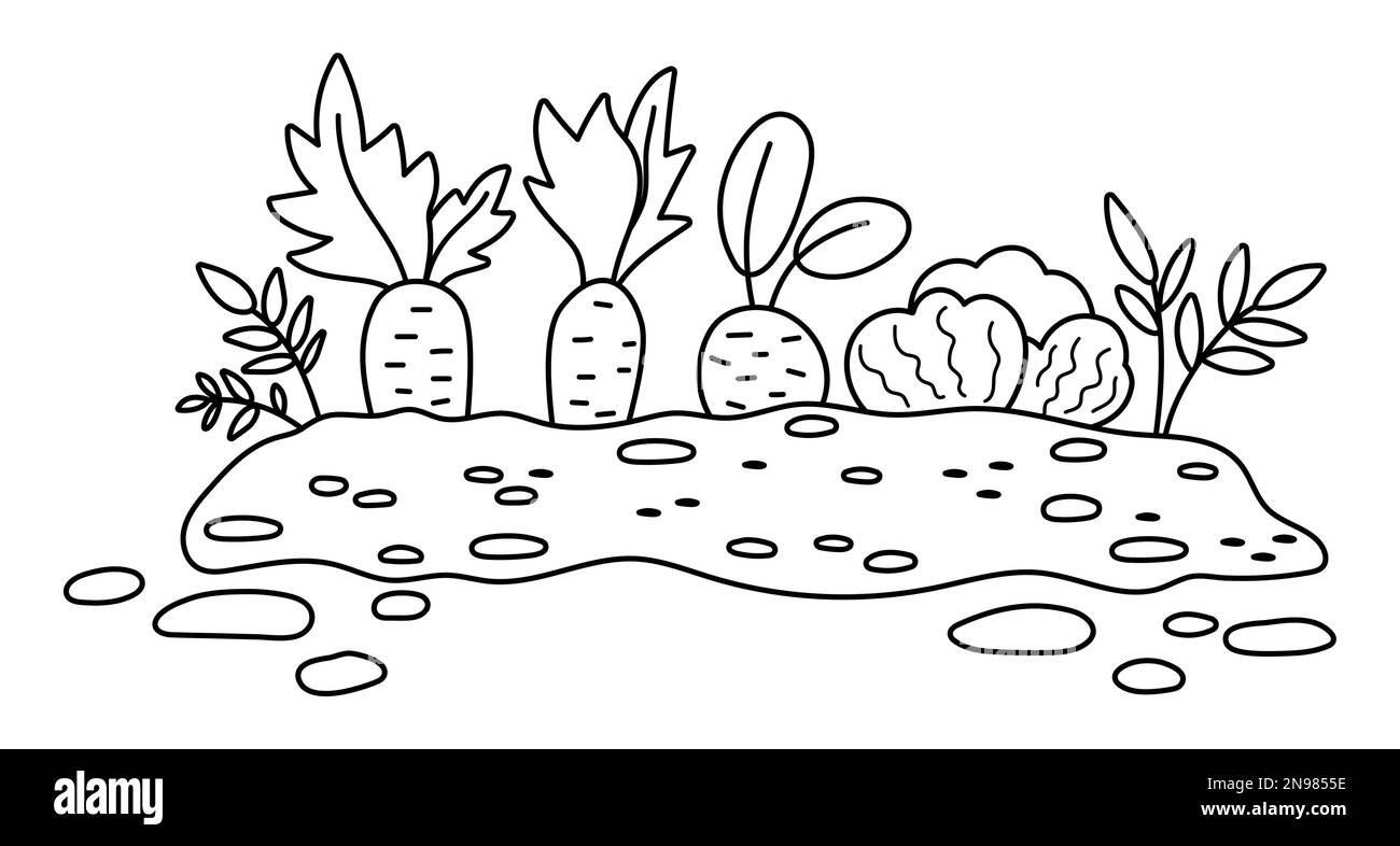 Vector black and white garden sprouted plants isolated on white background. Outline spring vegetable nursery bed illustration. Gardening or farm seed Stock Vector