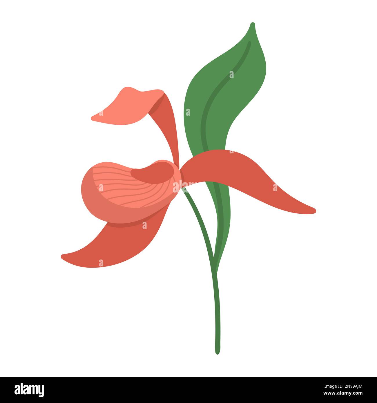 Vector lady slipper icon. Endangered species picture. Orchid isolated on white background. Blooming tropical plant illustration. Floral clipart. Cute Stock Vector