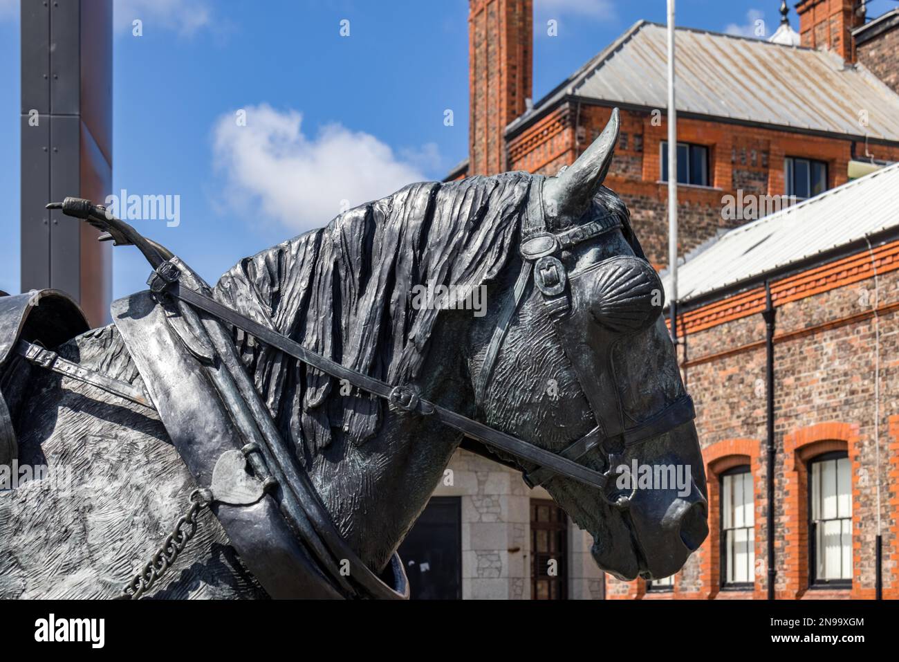 LIVERPOOL, UK JULY 14 Horse statue Stock Photo Alamy