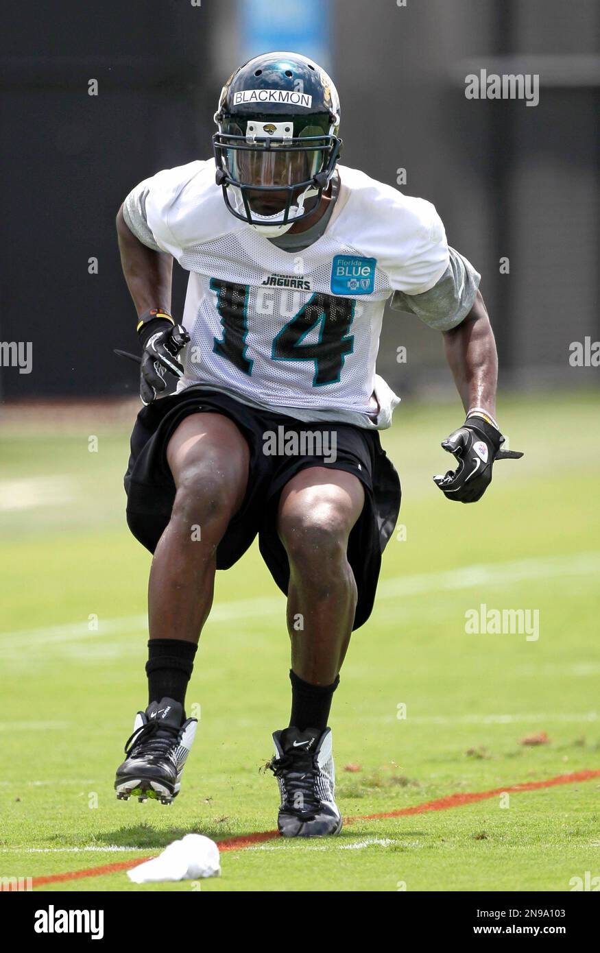 FILE This May 4, 2012 file photo shows Jacksonville Jaguars receiver
