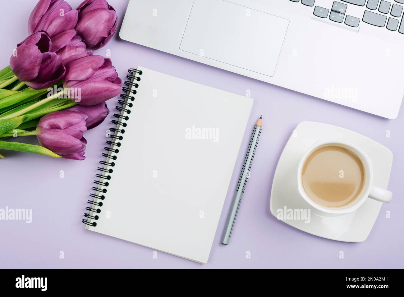 Blank notepad, laptop, pen, coffee cup and purple tulips on lilac ...