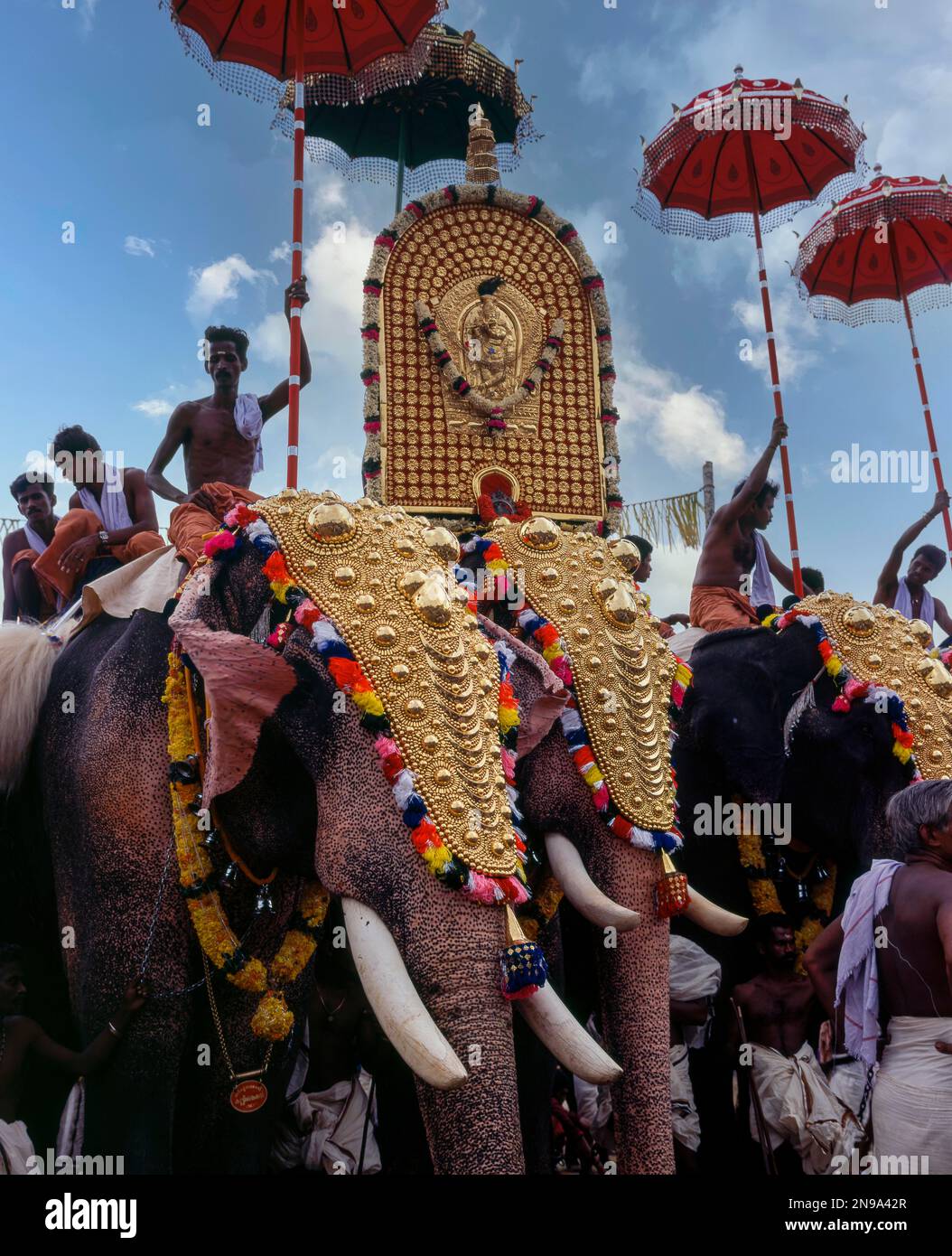 During the elephants parade in Pooram festival, Trichur or Trissur, Kerala, India, Asia Stock Photo