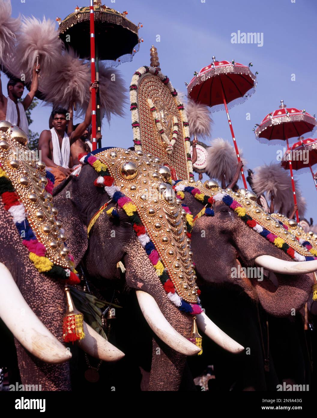 During the elephants parade at the Hindu temple festival Pooram in Trichur or Trissur, Kerala, India, Asia Stock Photo