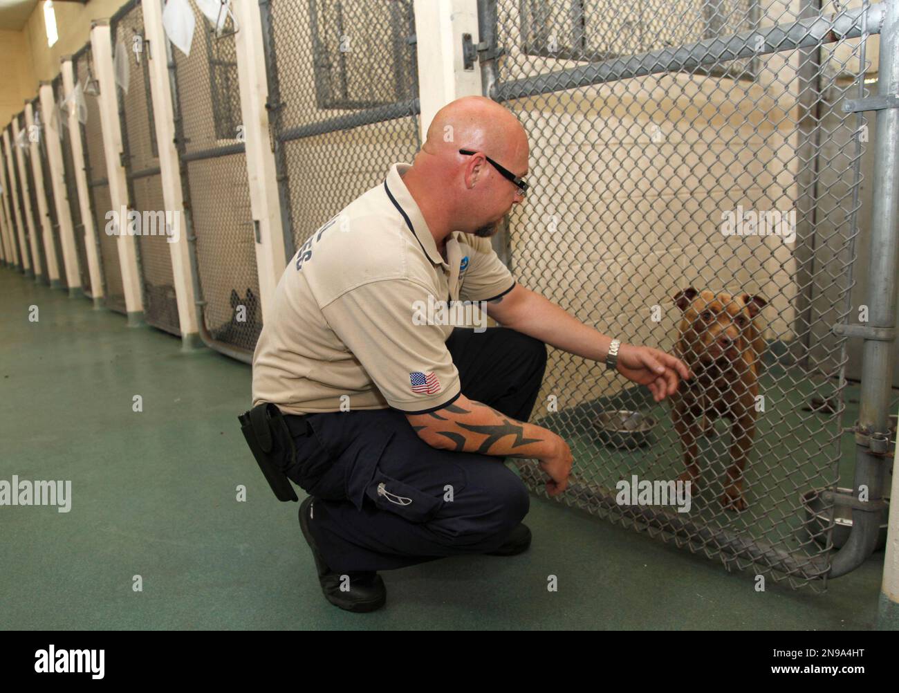 In this Friday, June 29, 2012 photo, MiamiDade County Animal Services