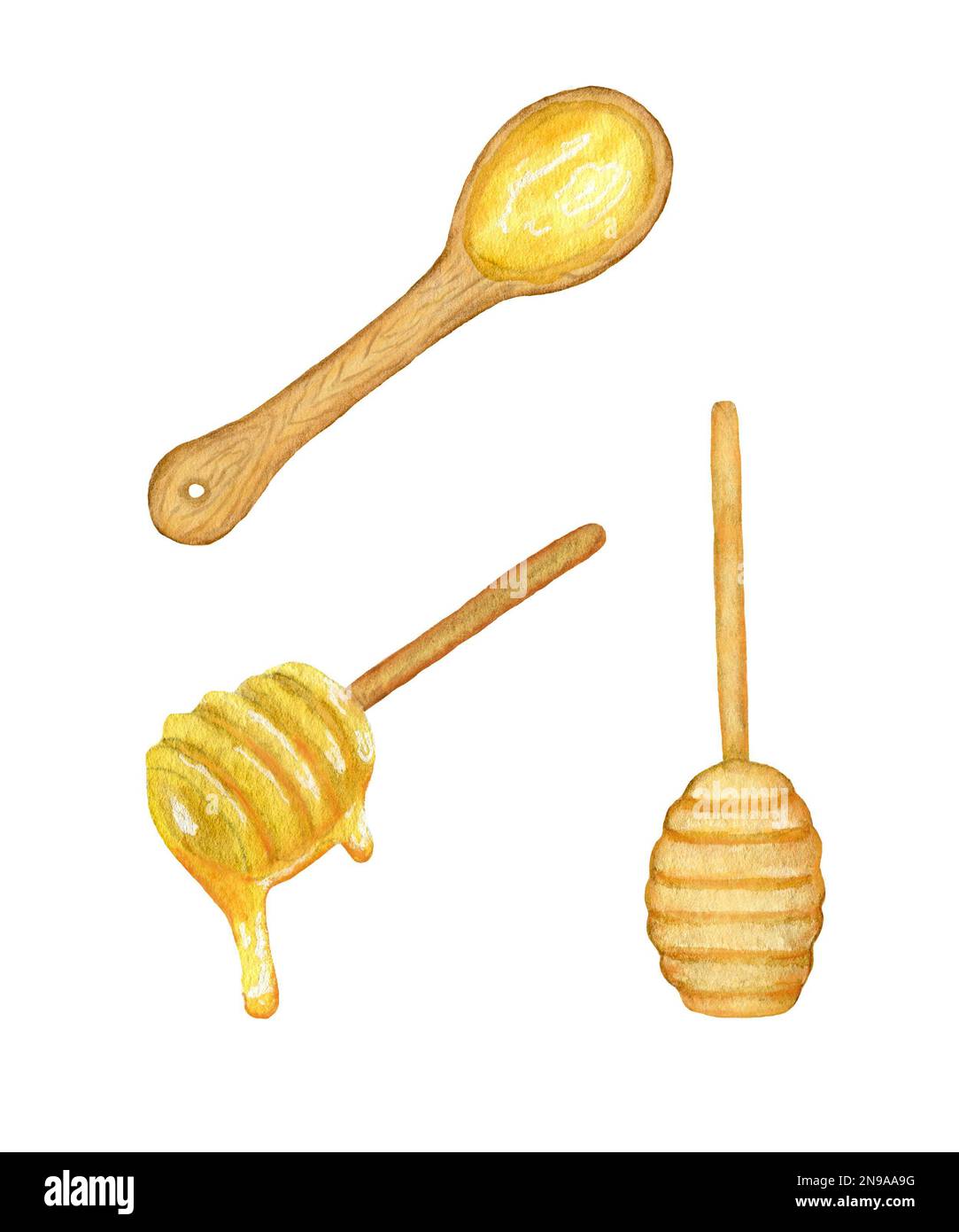 Honey Spoon. Set of watercolor wooden spoons with honey. Honey sweets