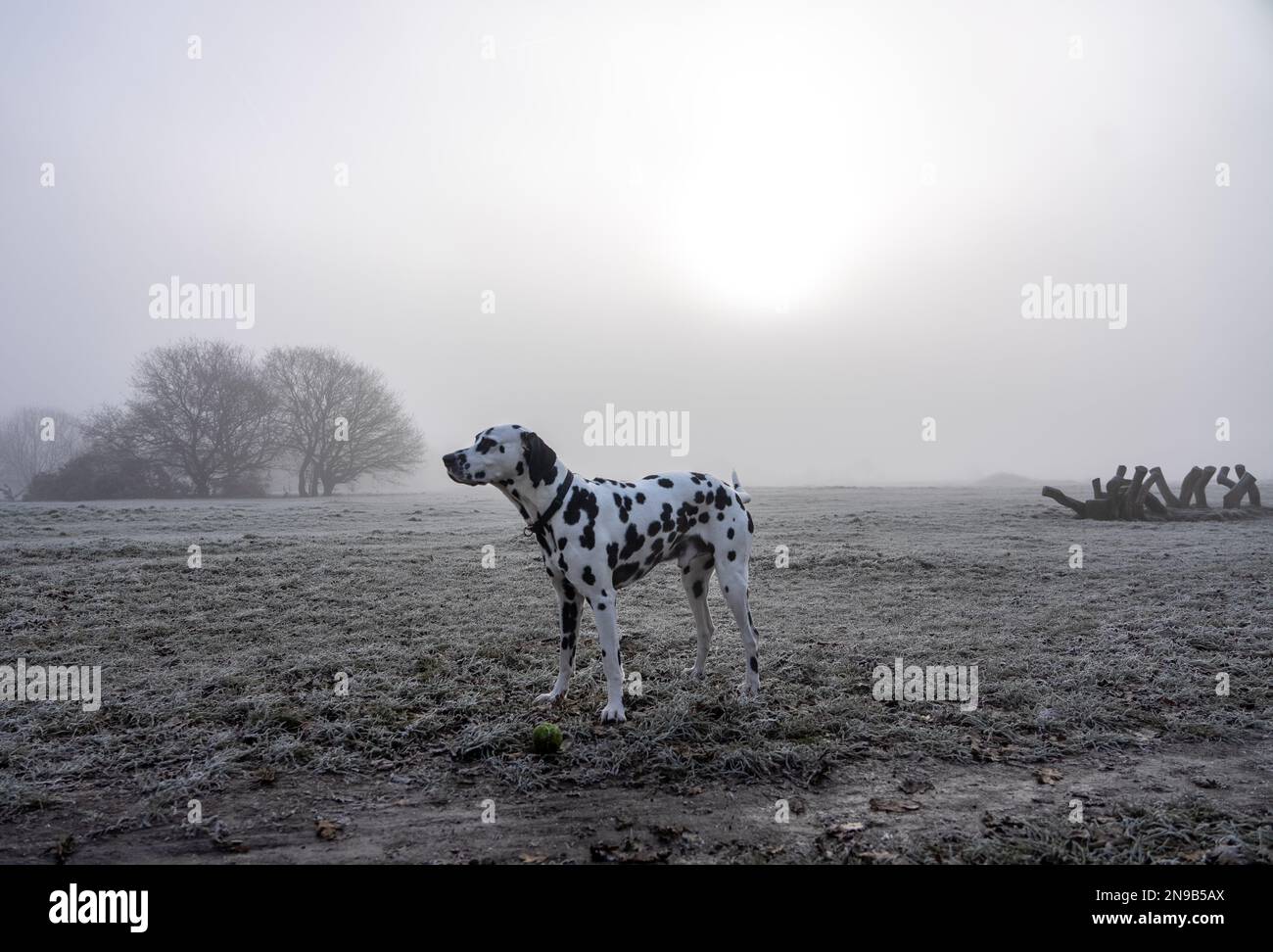 Leytonstone East London in the mist in central London as a cold weather